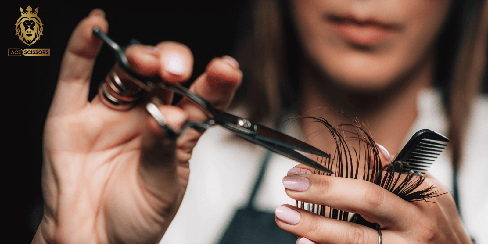 Ace_SCISSORS_Brisbane_Stuff